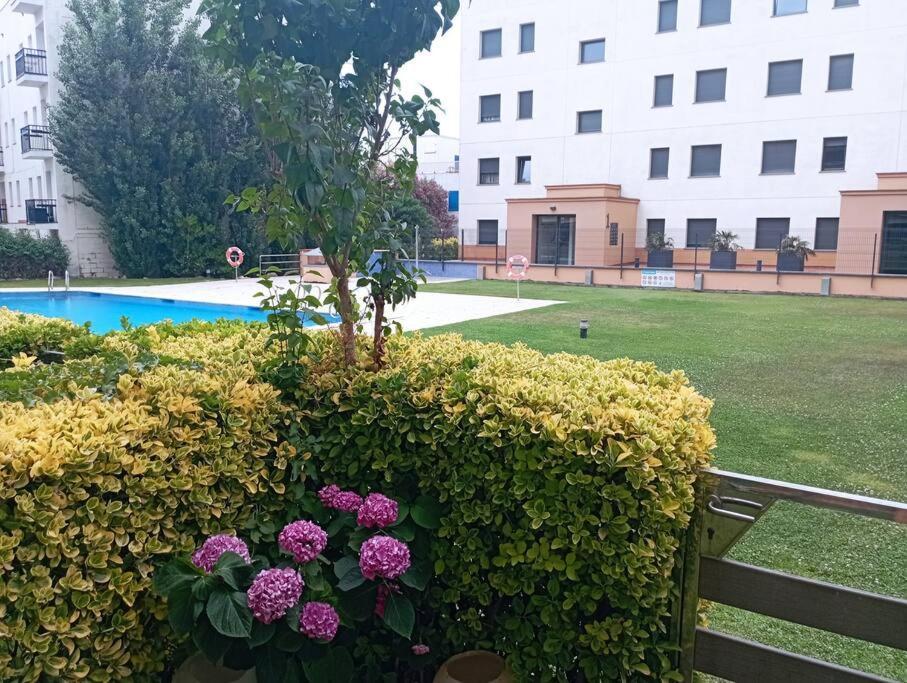 Apartamento En Primera Linea De Mar Roses Eksteriør bilde
