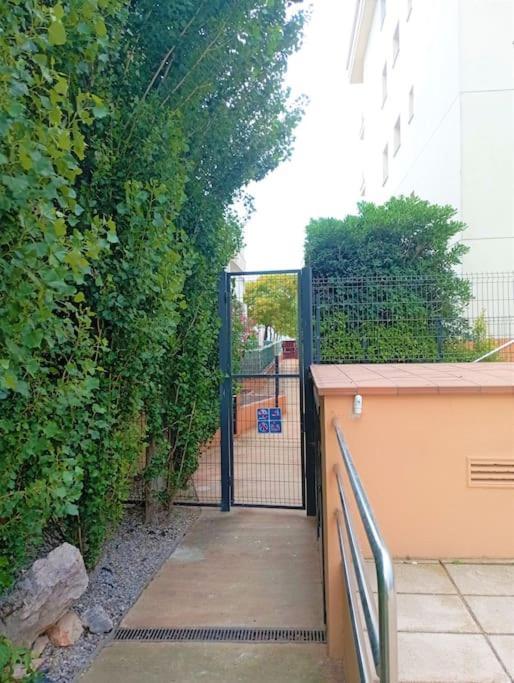 Apartamento En Primera Linea De Mar Roses Eksteriør bilde